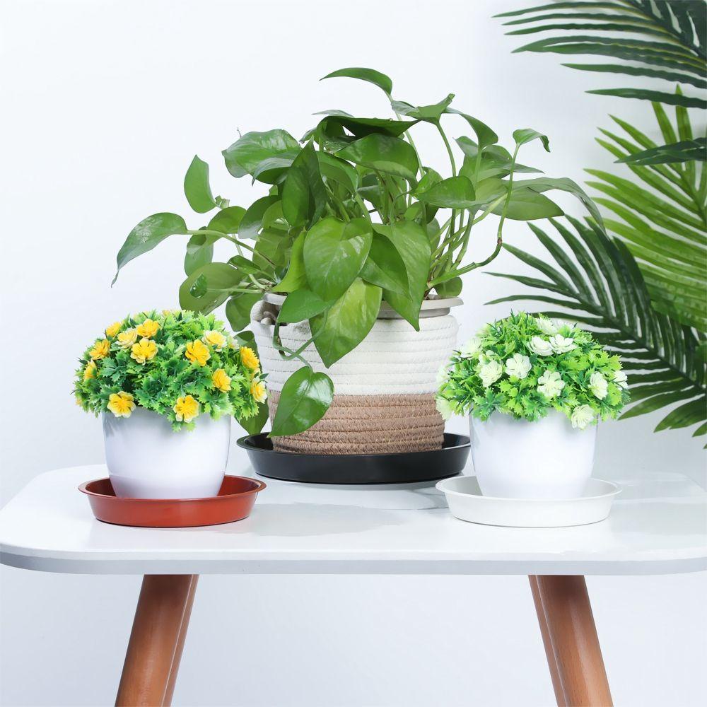 IVORY Bộ 3 Khay Tròn Màu Sắc Trơn Dùng Trồng Cây 4 / 6 / 7 / 8 / 10 inch