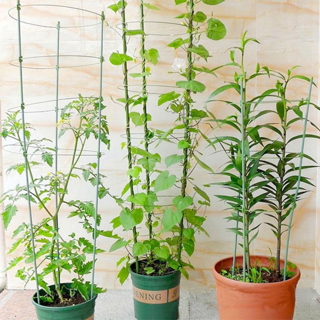 Bộ giá đỡ cây leo gồm 3 thanh chống và 3 vòng tròn bằng nhựa sáng tạo tiện dụng
