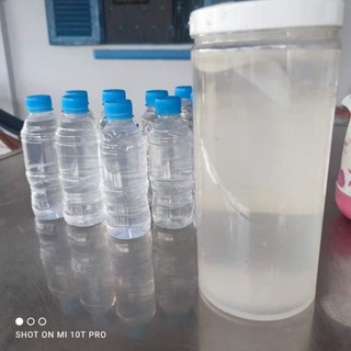 500ml giấm nuôi  nhà làm