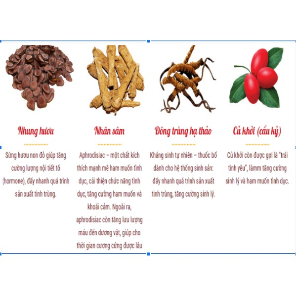 Viên uống Eroforce hỗ trợ tăng cường sinh lý nam hộp 10 viên – DPMP688