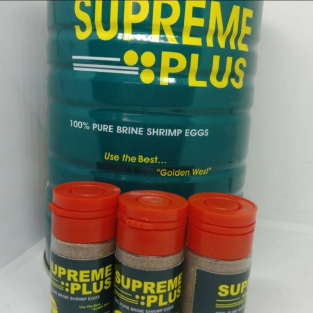 Áo Thun In Chữ Supreme Plus 10g Thời Trang Năng Động