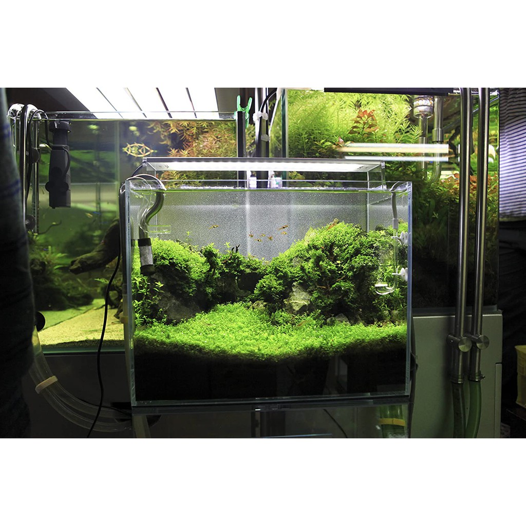 ĐÈN LED CHIHIROS A SERIA 301, ASERIA 501