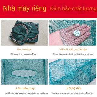 Lưới tôm hùm, lưới tôm hùm, lưới tôm hùm