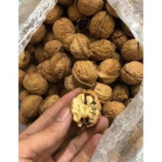 Quả óc chó tươi & óc chó khô