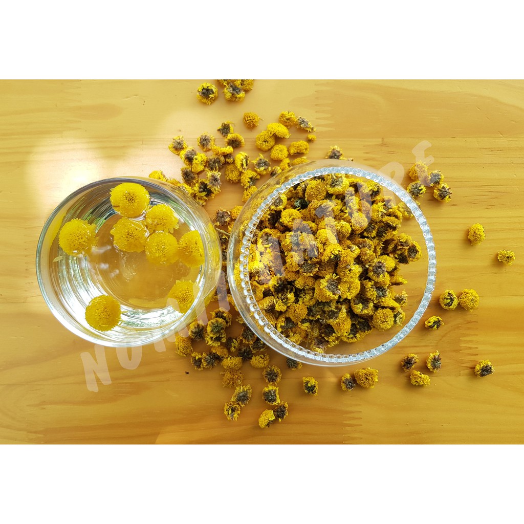 Hoa cúc tiến vua hảo hạng ⚡Freeship + TẶNG HOA ĐẬU BIẾC
