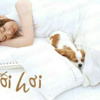 2 ruột gối hơi ép cao cấp