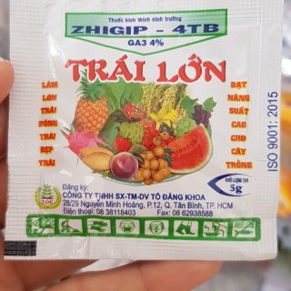 Viên Ga3 lớn trái