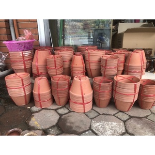 Chậu đất nung đủ size