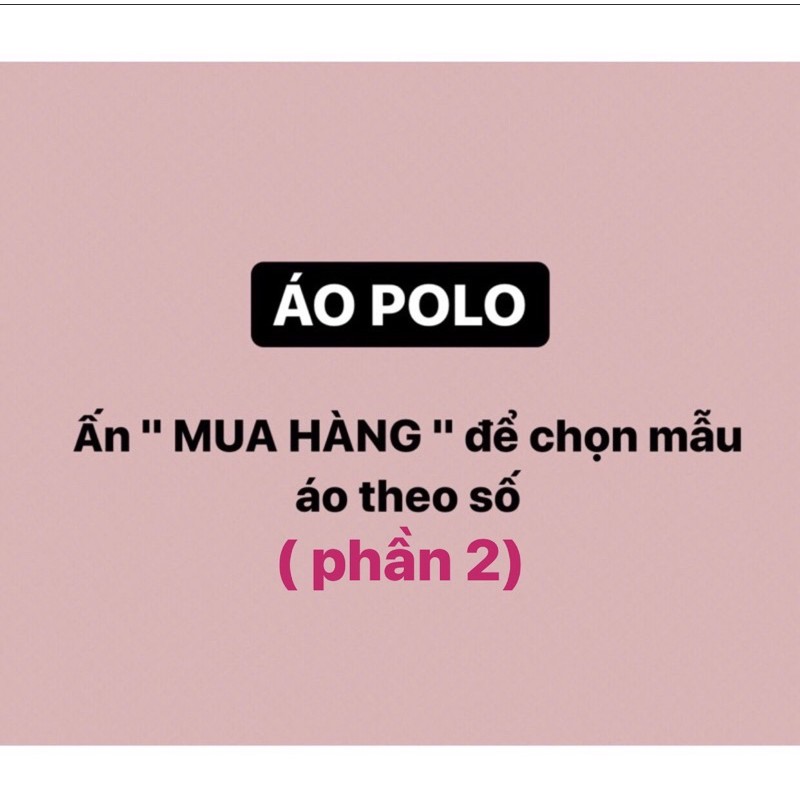 áo POLO ( tiếp )