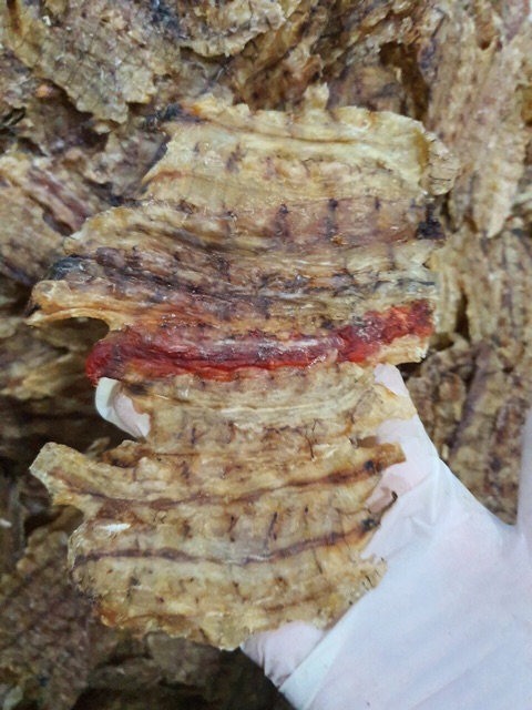 khô tôm tích Cà Mau 1ký | BigBuy360 - bigbuy360.vn