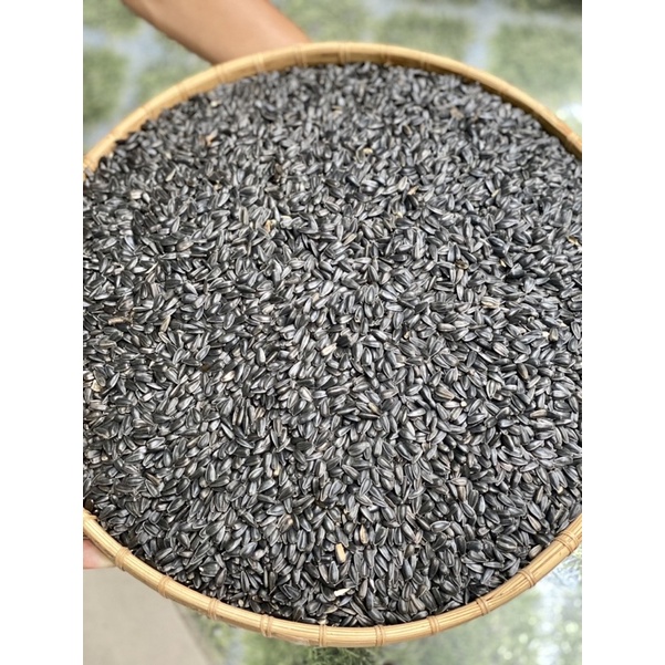Hạt Hướng Dương - Thức ăn cho gà,vẹt,chim,hamster