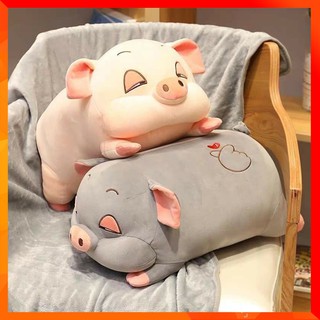 Set chăn mền và gối hình con lợn siêu cute để xe oto hoặc trong văn phòng - bộ chăn mền kèm gối ôm hình lợn