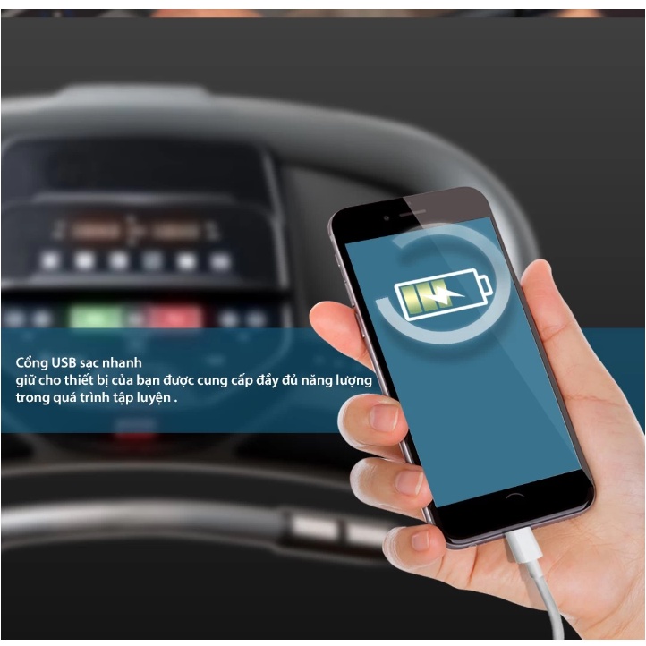 Máy Chạy Bộ Điện Mỹ Horizon T101