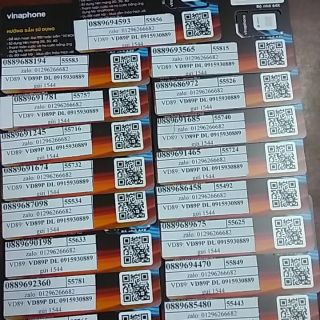 Sim vina 10 số