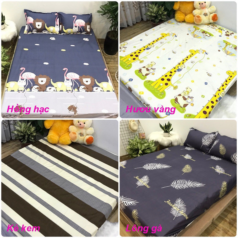 [Giá gốc tại xưởng] Ga Chống Thấm Cotton trải giường 2 trong 1 nằm trực tiếp cho Đệm m6, m8 (ảnh thật)