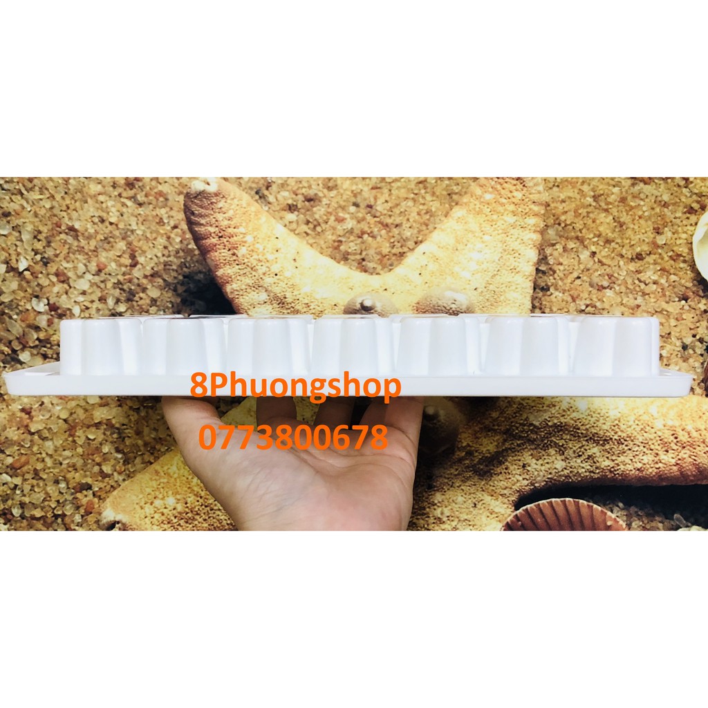 Khay đá trái tim, ngôi sao, hoa mai HPL36 - Khay làm topping thạch rau câu nhiều hình dáng