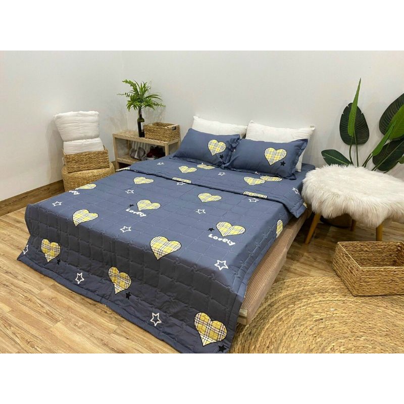 Bộ chăn hè trần bông ga gối 5 món poly cotton Hàn Quốc hàng loại 1
