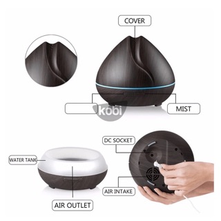 Combo đèn xông tinh dầu nhà Bún