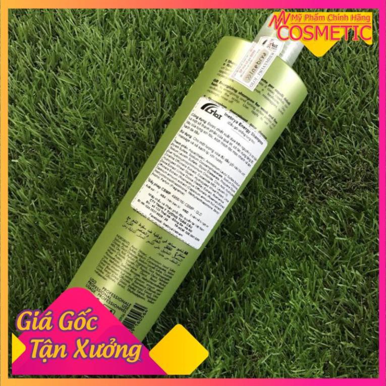 DẦU GỘI CHỐNG RỤNG TÓC INEBRYA ENERGY-ANTI HAIR 300ML