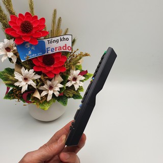 Điều khiển tivi SONY RM-ED054