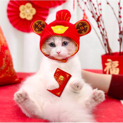 MŨ NÓN THÚ CƯNG DỄ THƯƠNG - CHỌN MẪU