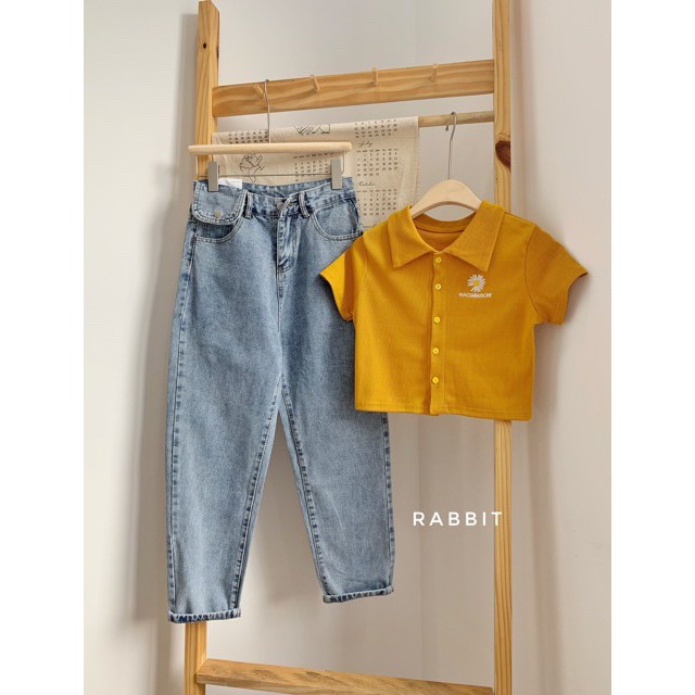 Áo Thun Polo Nữ🌸FREESHIP🌸 Áo Phông Polo  Cực Đẹp  hoa cúc  freesize dưới 58 kg < chất vải cotton > siêu mát | BigBuy360 - bigbuy360.vn