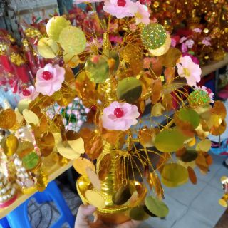 Cây cành vàng lá ngọc