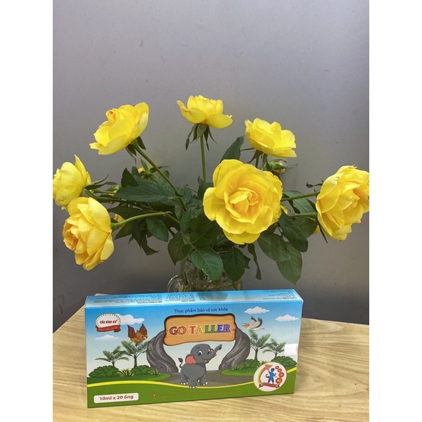 Combo 3 hộp GO TALLER Cầu Bình An