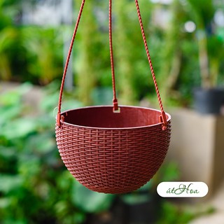 Chậu treo mây Lớn (19x13 cm) trồng hoa treo mẫu mã đẹp, màu sắc tươi sáng