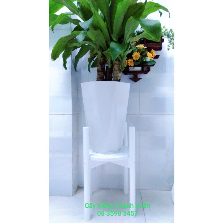 Kệ Giá Gỗ Để Chậu Hoa/Đôn Gỗ Để Chậu Hoa Cây Cảnh Để Bàn Trang Trí Kích Thước Cao 40cm x Rộng 31cm, lọt lòng chậu 26cm