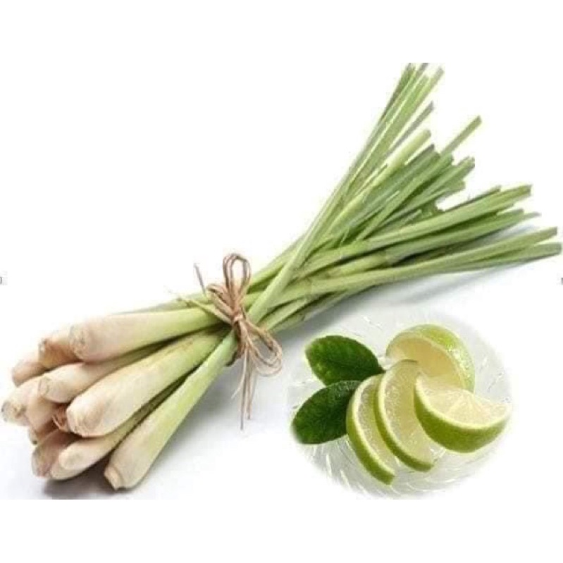 Tinh dầu xịt sả chanh thơm phòng