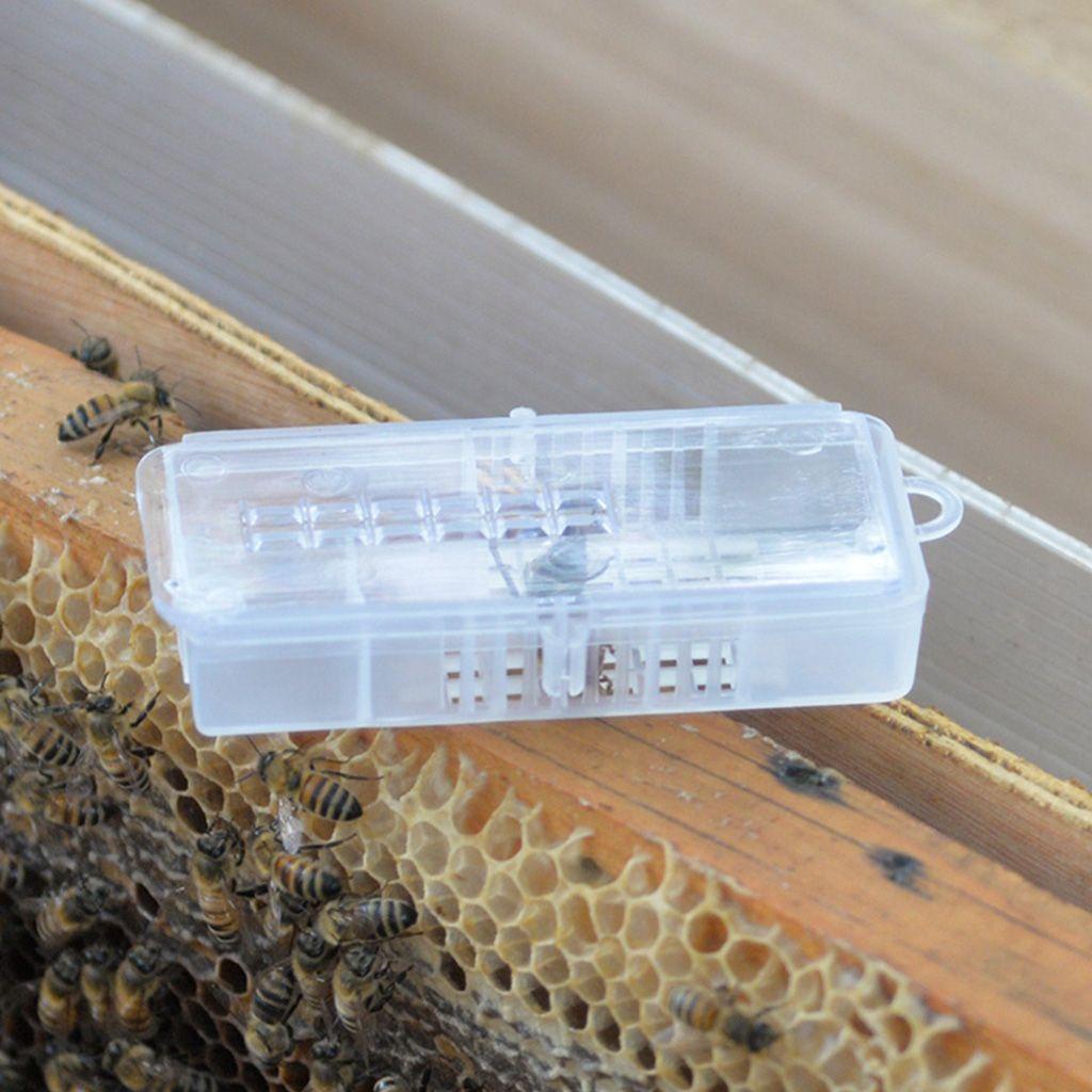 Lồng Nuôi Ong Bằng Nhựa PP Chất Lượng Cao