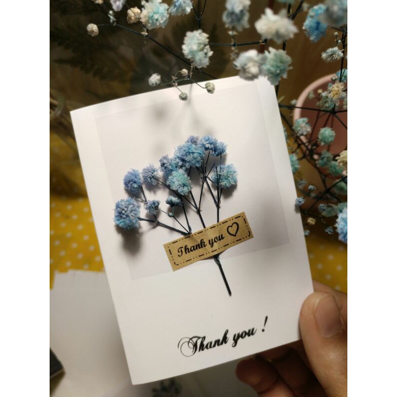 Thiệp hoa baby khô xinh xắn