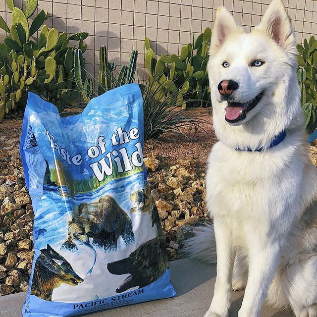 Thức Ăn Cho Chó Samoyed Taste Of The Wild Bao 2kg Lông Bóng Mượt - Pacific Stream Cá Hồi Xông Khói, Rau Củ Quả