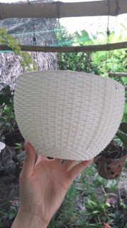 Chậu treo mây