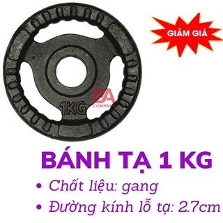 Bộ 2 bánh tạ 1kg - Bánh tạ tập gym 1kg - Đĩa tạ gang