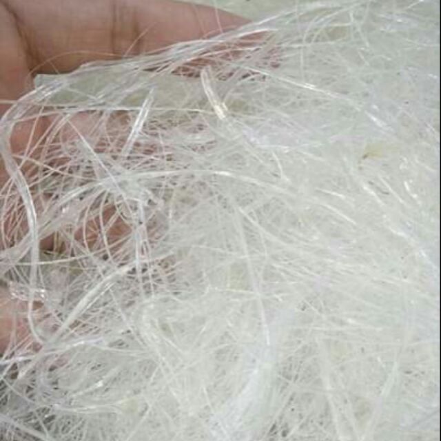 LONG TU YẾN