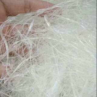 Long tu yến