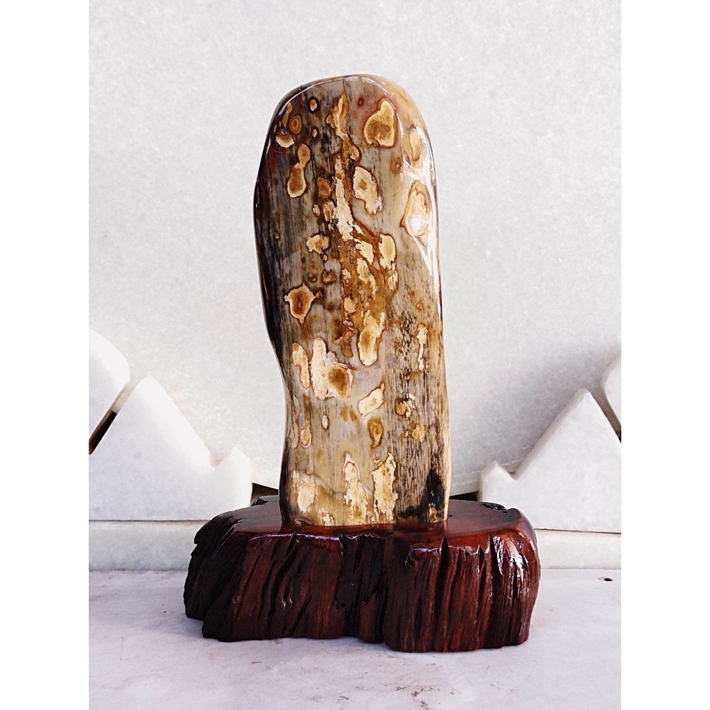 Gỗ Hoá Thạch tự nhiên.(HT179 , KL: 2kg, C: 26cm, R: 17cm), viết thư pháp theo yêu cầu quý khách, Giá gốc tại xưởng..
