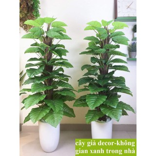 Cây trầu bà leo cột cao 1m6, 63 lá hàng loại 1,Cây Giả trang trí, decor. Ko kèm chậu-hoaluaminhhoa