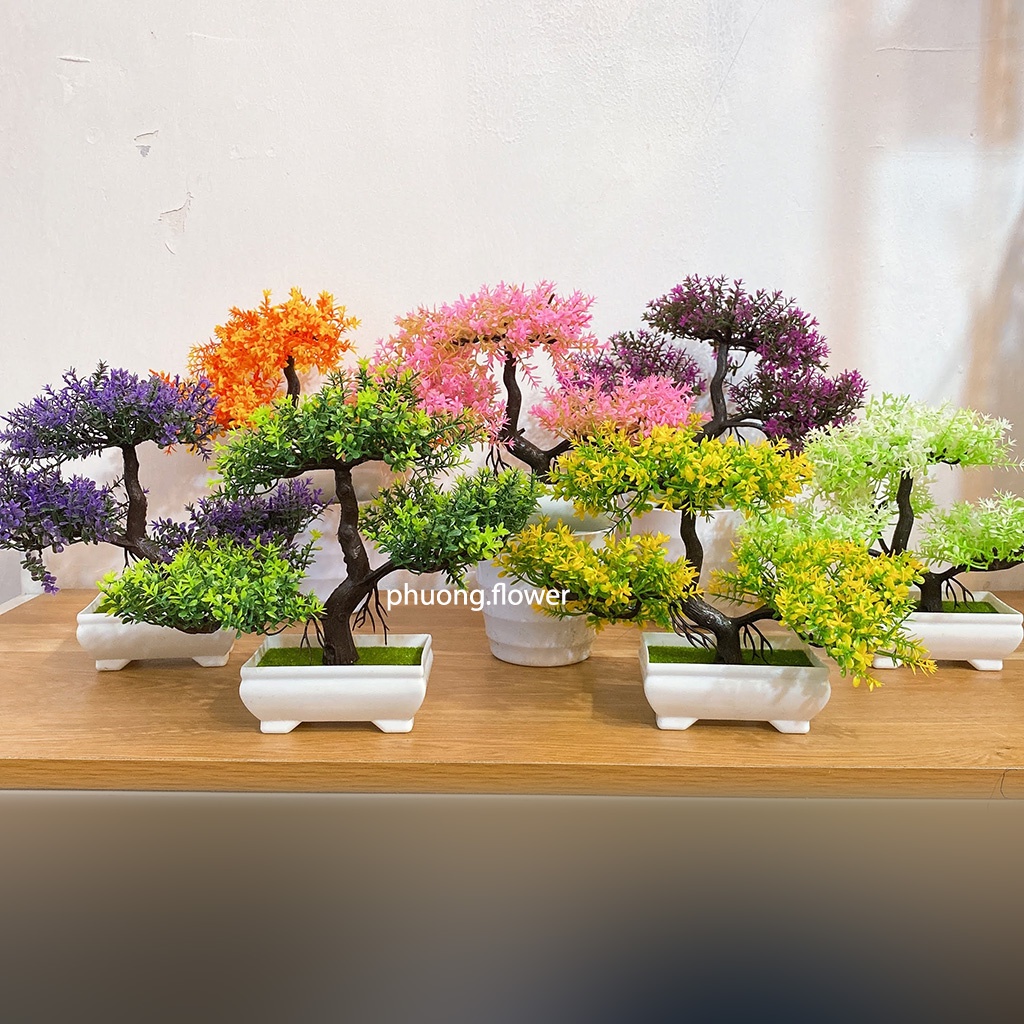 Chậu cây thông bonsai giả nhựa 3 tán kèm chậu trang trí nội thất để bàn cực đẹp kích cỡ 25cm x 18cm