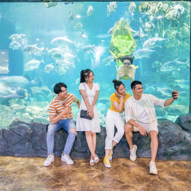 Hà Nội [E-Voucher] Thủy Cung Aquarium vé vào cửa em bé - Khách hàng từ 80 cm đến dưới 140 cm