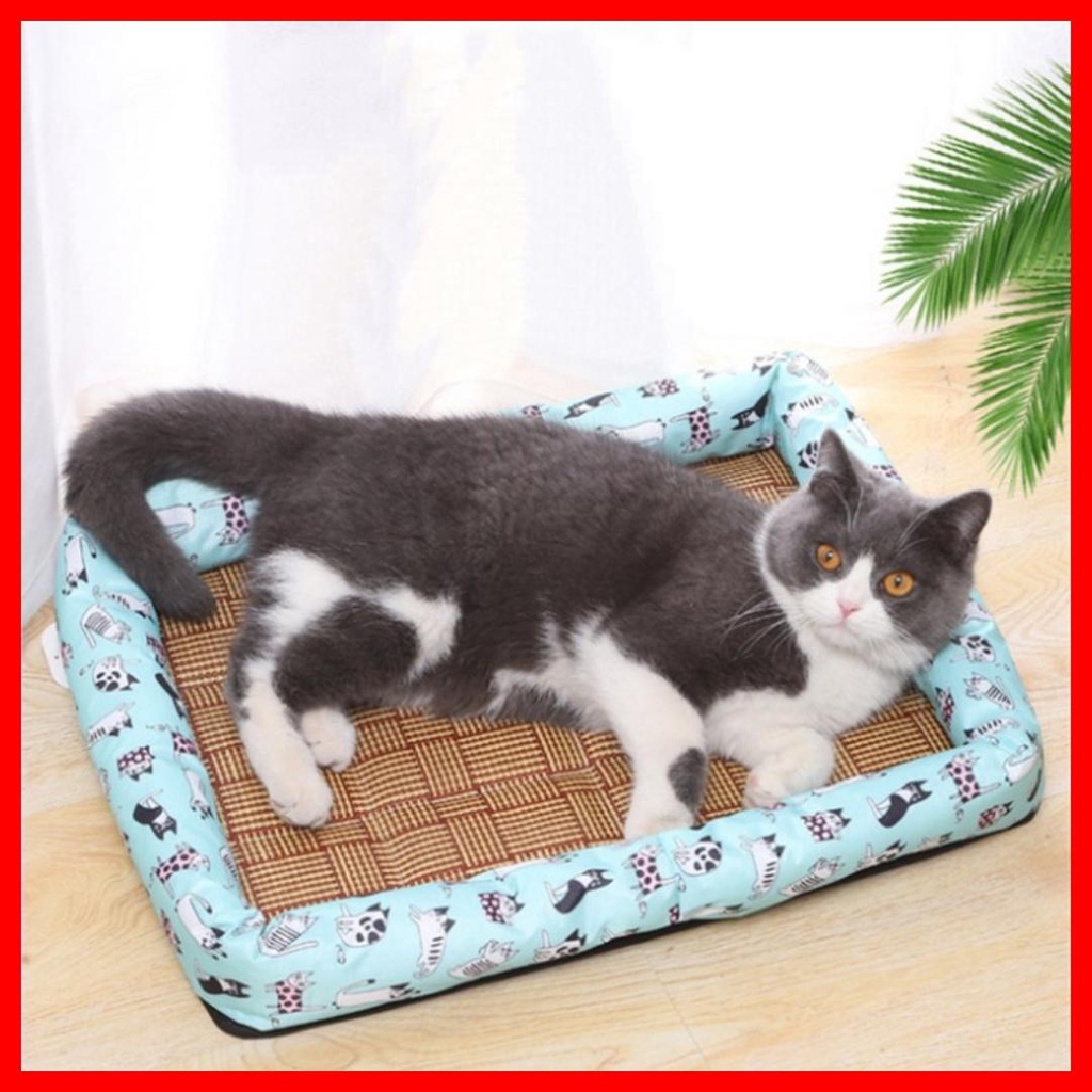 Thảm Mát Chiếu Điều Hòa cho chó mèo nhiều màu sắc hình dáng