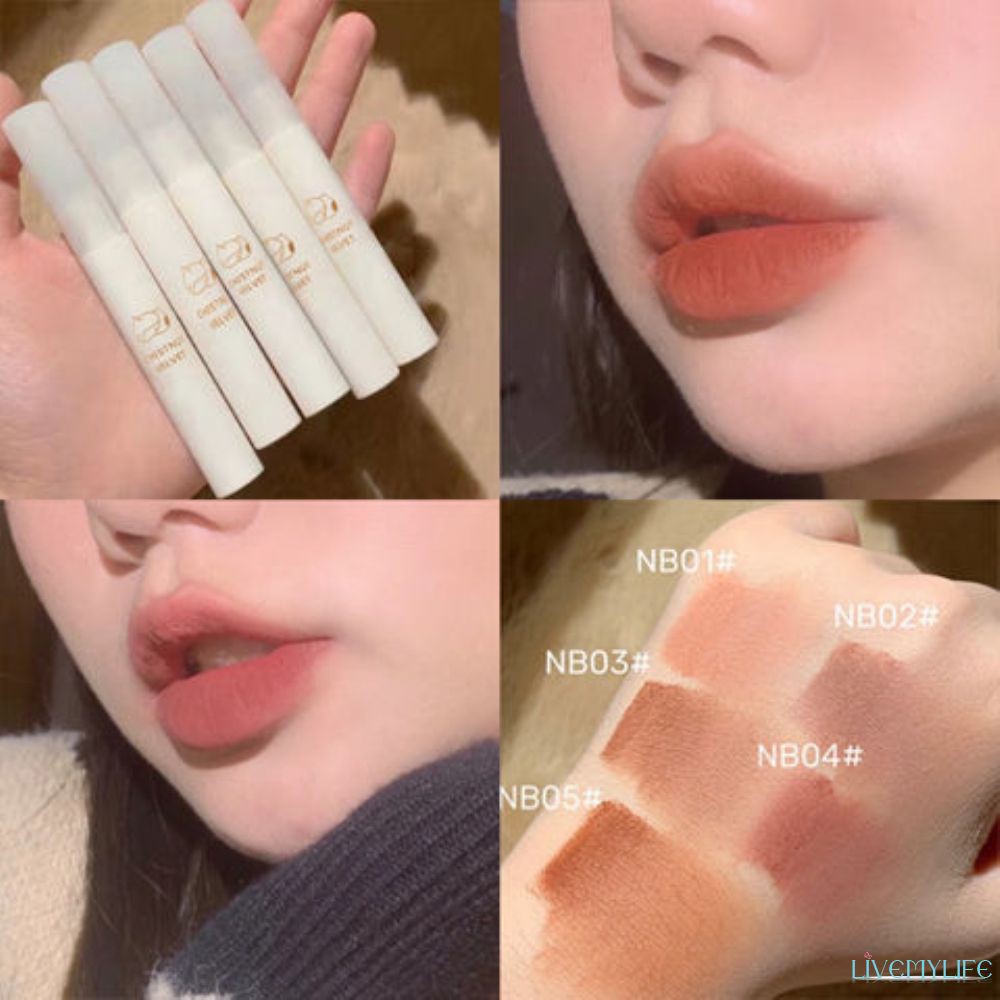 (Hàng Mới Về) Son Kem Lì Chống Nước Lâu Phai Mượt Như Nhung Dành Cho Nữ | BigBuy360 - bigbuy360.vn