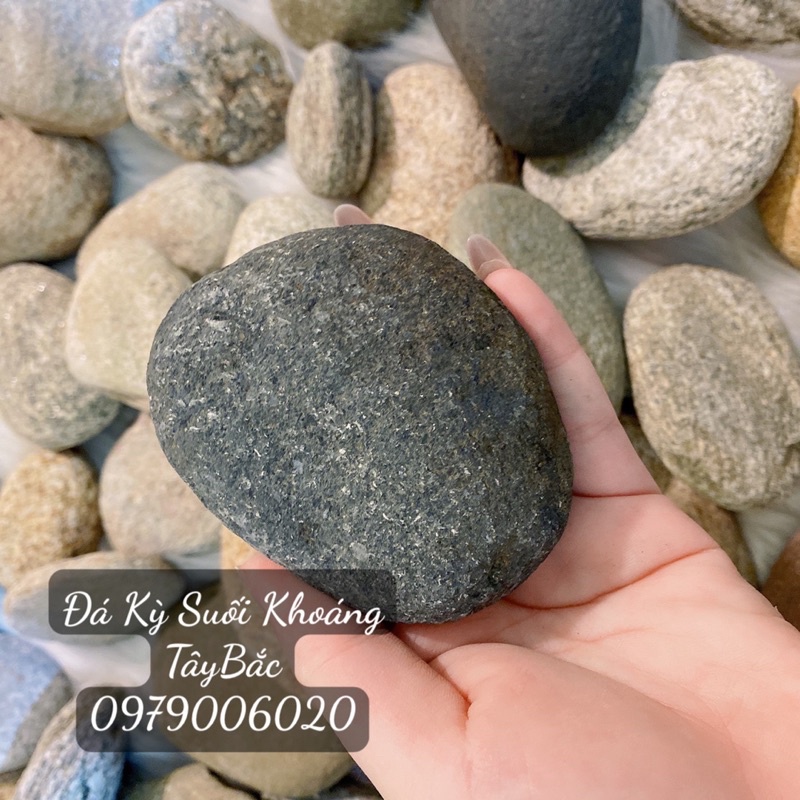 Đá nhám tắm kỳ ghét, tẩy da chết (100% tự nhiên) | BigBuy360 - bigbuy360.vn
