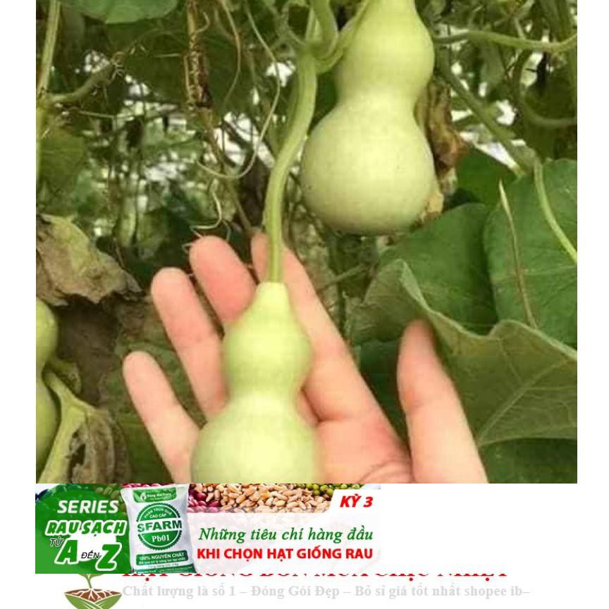 Hạt Giống Bầu Hồ Lô - Mini Siêu Kute  5 hạt ĐẾN MÙA TRỒNG TẾT