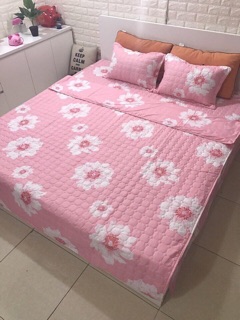 SET CHĂN GA GỐI COTTON POLY TRẦN BÔNG