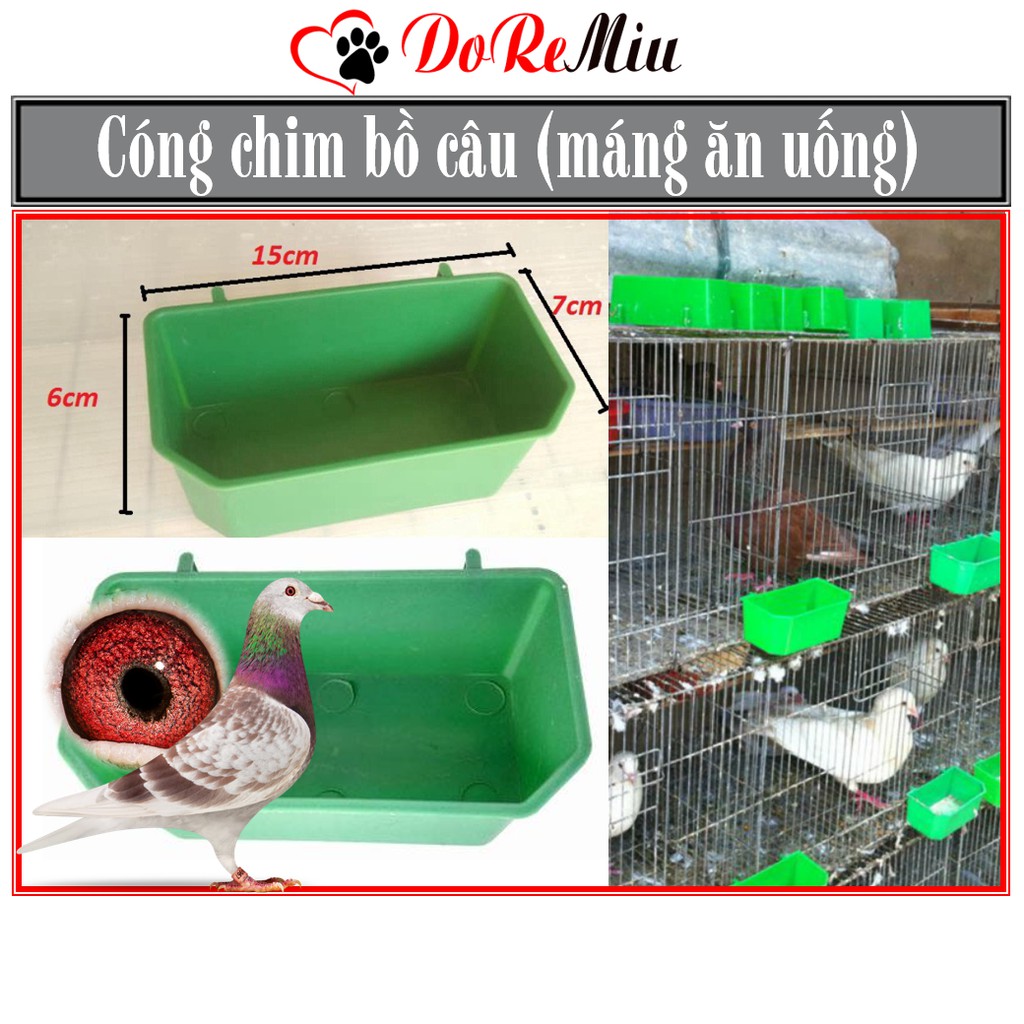 Doremiu (1 cái) Máng ăn chim bồ câu treo chuồng Cóng vuông bằng nhựa màu xanh (có thể dùng cho gà và chim cảnh)