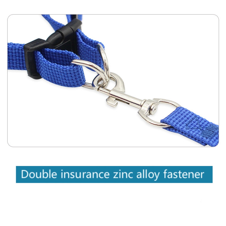 Dây dắt thú cưng đi dạo màu dạ quang tiện dụng