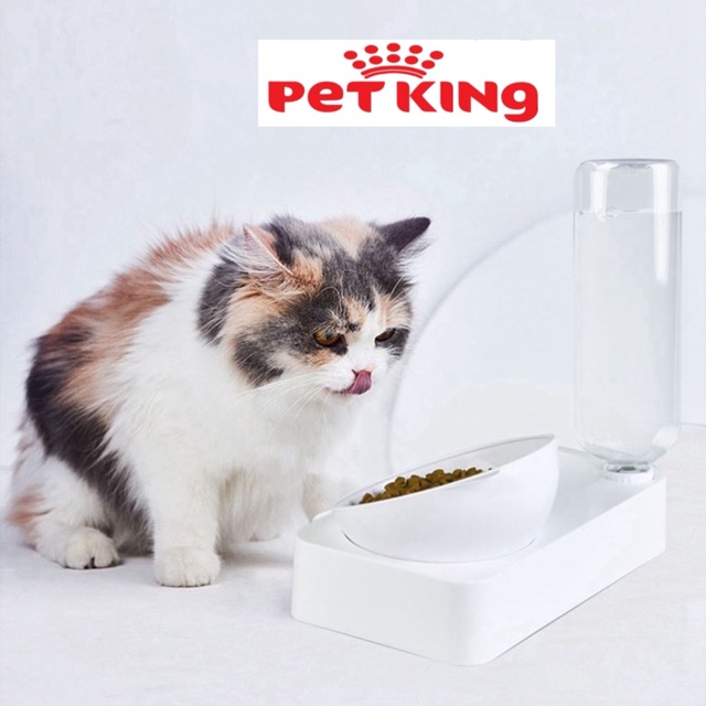 Combo Bát Ăn Chống Gù Đầu Mèo và Bình Nước cho Thú Cưng
